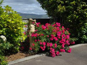 a statue in a garden of pink flowers at Riverstone Retreat Upper Hutt in Upper Hutt