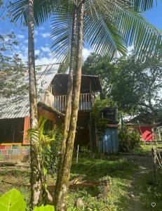 una casa con dos palmeras delante de ella en Hostal ladrillerossurf, en Buenaventura 14 fotos más