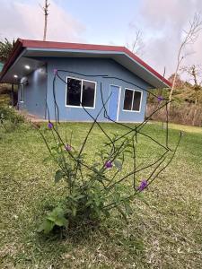 Φωτογραφία από το άλμπουμ του Rivers house σε San Isidro