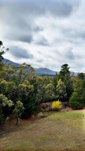 Blick auf ein Feld mit Bäumen und Sträuchern in der Unterkunft Macedon Ranges Hotel & Spa in Macedon