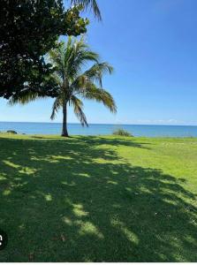 圣玛丽La Varangue Bleue T3 bright near airport的相册照片