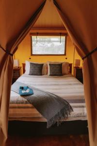 Un dormitorio con una cama en una tienda de campaña. en Raglan Rural Retreats - Rimu Tent, en Raglan