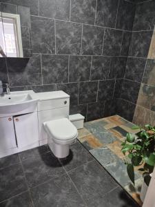 un baño con inodoro y lavabo en Mulberry Suites, en Cleethorpes