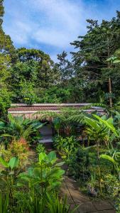 Κήπος έξω από το Stokel Cottage