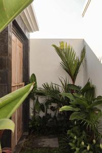 una stanza con un mucchio di piante e una porta di Giegie Villa a Tanah Lot