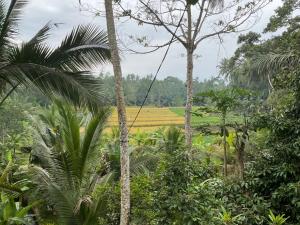 PenebelEdwin's Stay的相册照片