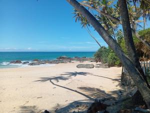 a beach with palm trees and the ocean at Sun & Sea 365 in Balapitiya +5 photos