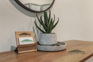 eine Pflanze in einem Topf auf einem Tisch mit einem Spiegel in der Unterkunft Campaspe Central - Your Central Echuca Escape! in Echuca + 14 Fotos