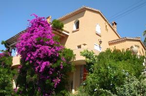 Κήπος έξω από το Villa Les Dauphins