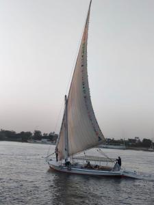 a boat with a large white sail on the water at Humpty Dumpty in Luxor