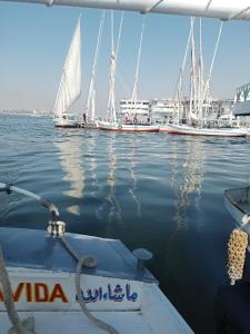 a group of boats are docked in the water at Humpty Dumpty in Luxor