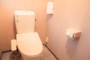 a bathroom with a toilet with a roll of toilet paper at 子連れ歓迎 平屋一棟貸し 3LDK 最大8名 プレイルーム付 法隆寺徒歩5分 HMV Horyuji in Ikaruga +105 photos