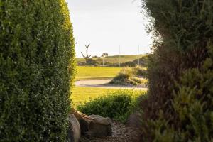 Imagine din galeria proprietății EcoHaven Beach Retreat în Cape Paterson