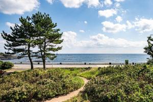 a path leading to a beach with a tree at Stay Cherry in Namwon +9 photos