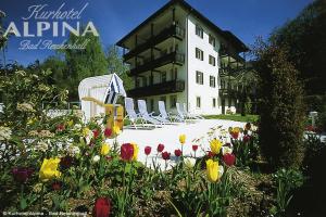 Zahrada ubytování Hotel Alpina