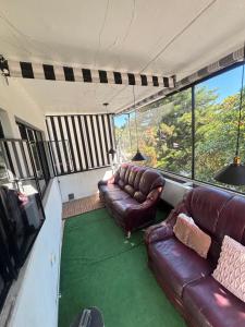 ein Wohnzimmer mit zwei Sofas und einem Fernseher in der Unterkunft Cocoa Home Women Only Rooms Chapalita in Guadalajara