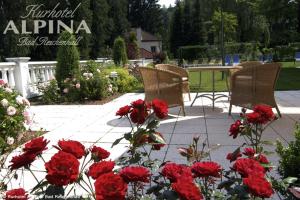 Zahrada ubytování Hotel Alpina
