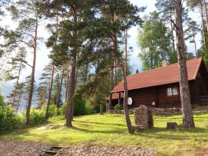 una cabaña de madera en medio de un bosque en Käbi Holiday Homes, en Ainja
