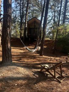 a hammock in the middle of a forest with a tree at BosqueCielo Cabañas Diseño Natural Arte Galeria in Huasca de Ocampo