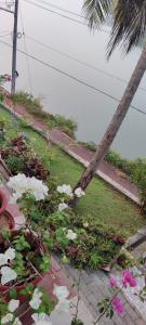 ein Garten mit weißen Blumen und einer Palme in der Unterkunft Retreat Rivera where Serenity Meets the River in Green Island