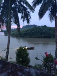 eine Person in einem Boot auf einem Fluss mit Palmen in der Unterkunft Retreat Rivera where Serenity Meets the River in Green Island