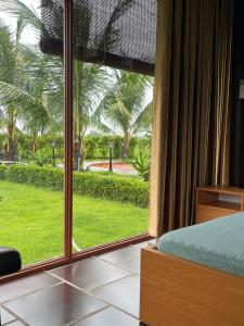 Κήπος έξω από το Melalueca homestay