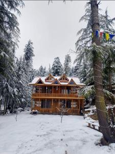 uma cabana de madeira na floresta com neve no chão em Kath Kuni Cafe & Stay Shangarh em Shangarh