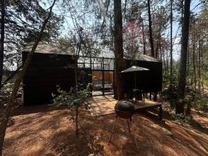 a black house in the middle of the forest at BosqueCielo Cabañas Diseño Natural Arte Galeria in Huasca de Ocampo