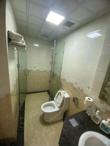 a bathroom with a toilet and a shower and a sink at SaPa Global Hotel in Sapa +15 photos