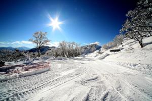Yuzawa Ski House v zime