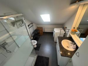 a bathroom with a sink and a shower and a toilet at Vakantiewoning Verdre met geweldig uitzicht in Saint-Vith