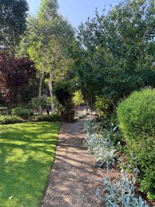 un sentiero attraverso un giardino con erba e alberi di Tambo Touchdown Suites a Benoni