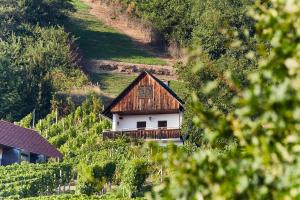 a house with a wooden roof in a vineyard at Weinberg Lodge - Kellerstöckl in Klöch