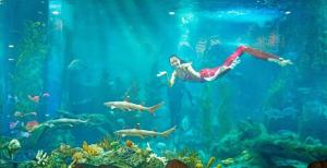 Επισκέπτες που μένουν στο Alice's home Times city