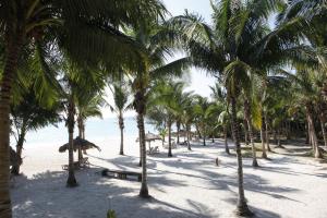 a beach with palm trees and palm trees at Silver Sand Beach Resort Havelock in Havelock Island