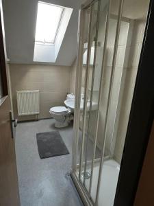 a bathroom with a toilet and a skylight at Penzion V Zatáčce in Plzeň +89 photos