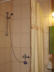 Kúpeľňa v ubytovaní Flat on Sheptytskykh
