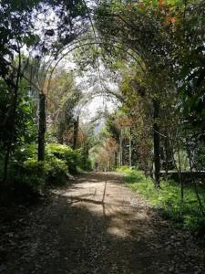 Galeriebild der Unterkunft Tapovan Fruitopia in Sultan Bathery