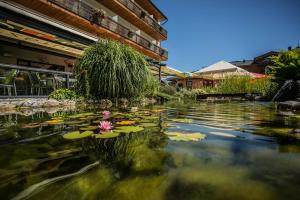 Vonkajšia záhrada v ubytovaní Hotel Bacher Asitzstubn
