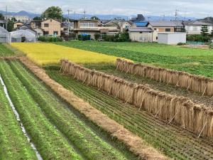 Φωτογραφία από το άλμπουμ του 耀来YoRaiようらい σε Nagaokakyo
