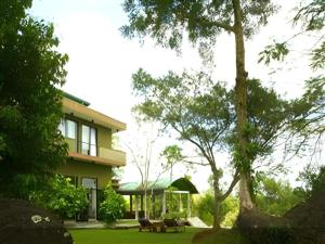 una casa con un albero davanti di Mangrove Escapes Resort a Horawala