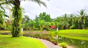 Ban Kui MangPhatad Valley Hotel的有池塘、棕榈树和河流的公园