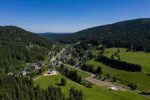 an aerial view of a town in the middle of a mountain at Alte Försterei Wildenthal in Eibenstock
