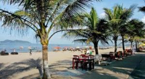 Dong QuanSummer Hotel的海滩上种有棕榈树和人