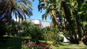 a garden with palm trees and flowers in front of a building at B & B Villa Flora in Mondello