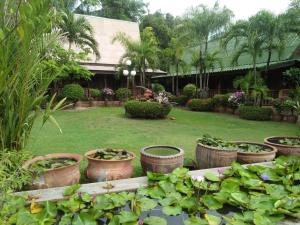 Φωτογραφία από το άλμπουμ του ออร์คิดไฮบิสคัส เกสท์เฮ้าส์ σε Sukhothai