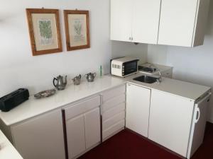 Η κουζίνα ή μικρή κουζίνα στο Sestriere Red Carpet