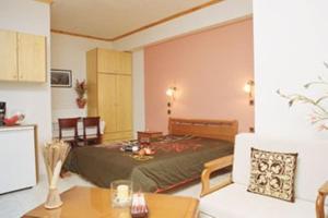 Kuchyň nebo kuchyňský kout v ubytování Guesthouse Irida