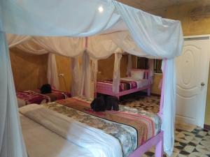 Φωτογραφία από το άλμπουμ του ออร์คิดไฮบิสคัส เกสท์เฮ้าส์ σε Sukhothai +12 φωτογραφίες