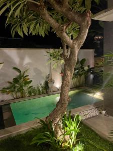 Φωτογραφία από το άλμπουμ του Villa with private pool σε Panji